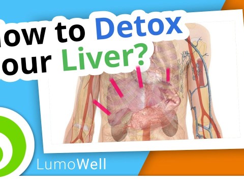Liver cleanse: how to detox your liver? Diet, foods and natural tips Liver cleanse: how to detox your liver? Diet, foods and natural tips