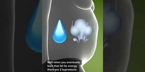 What happens to fat when you lose weight is pretty wild. What happens to fat when you lose weight is pretty wild.