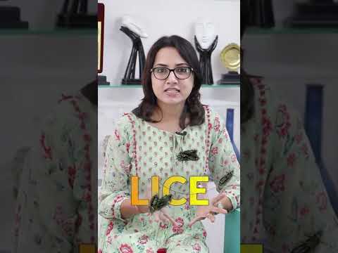 Head Lice – Treatment Dermatologist’s Guide | Dr. Deepika Lunawat Head Lice – Treatment Dermatologist’s Guide | Dr. Deepika Lunawat