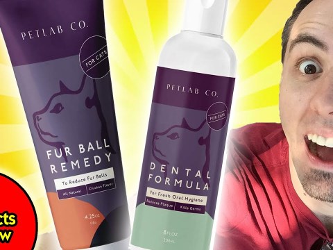 HEALTH PRODUCTS FOR YOUR CAT | PetLab Co Dental Formula & Furball Remedy Review HEALTH PRODUCTS FOR YOUR CAT | PetLab Co Dental Formula & Furball Remedy Review