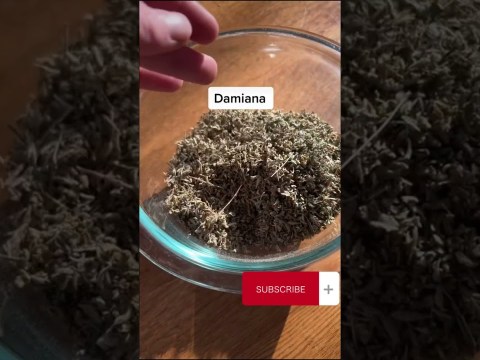 Boost Your Libido Naturally: Revive Your Sex Drive & Improve Intimate Experiences with Natural Herbs Boost Your Libido Naturally: Revive Your Sex Drive & Improve Intimate Experiences with Natural Herbs