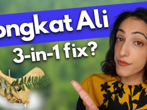 The holy grail for ED, Low T and Infertility?! | Tongkat Ali (Longjack) Benefits The holy grail for ED, Low T and Infertility?! | Tongkat Ali (Longjack) Benefits