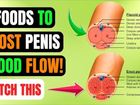 8 Foods to Boost Penis Blood Flow | Reverse Erectile Dysfunction | Watch This 8 Foods to Boost Penis Blood Flow | Reverse Erectile Dysfunction | Watch This