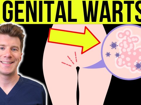 Doctor explains GENITAL WARTS | Causes, Symptoms, Treatment, Prevention Doctor explains GENITAL WARTS | Causes, Symptoms, Treatment, Prevention