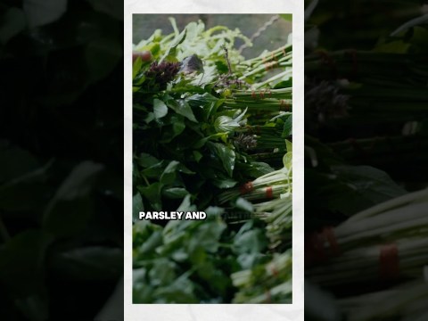 Best Spring Foods to Support Your Detox Organs #detox #detoxyourbody #cleanse #cleaneating Best Spring Foods to Support Your Detox Organs #detox #detoxyourbody #cleanse #cleaneating