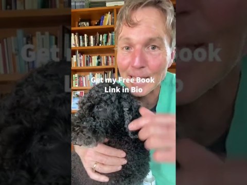 Yeast Ear infection or Ear Mites? Yeast Ear infection or Ear Mites?