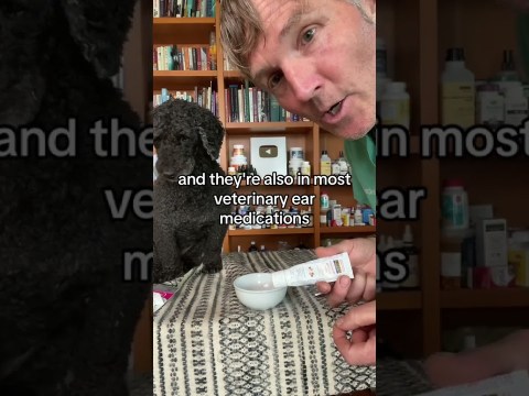 New OTC Dog Ear Infection Remedy! New OTC Dog Ear Infection Remedy!