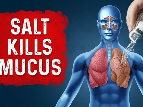 Reduce Respiratory Mucus with Salt – Dr.Berg On Chest Infection, Chronic Bronchitis & Lung Cleanse Reduce Respiratory Mucus with Salt – Dr.Berg On Chest Infection, Chronic Bronchitis & Lung Cleanse
