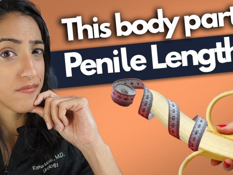 Youāll never believe thisā¦.a bigger **** = a longer penis?! Youāll never believe thisā¦.a bigger **** = a longer penis?!