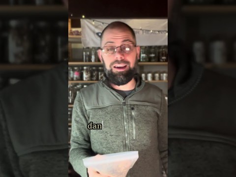 Liver Cleanse Tea Liver Cleanse Tea