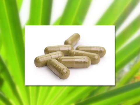 Herbal supplements and prostate health Herbal supplements and prostate health