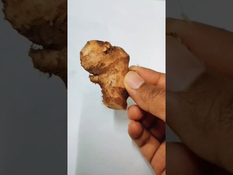 Home remedy for a dry cough | Ginger tea | Home remedy for a dry cough | Ginger tea |