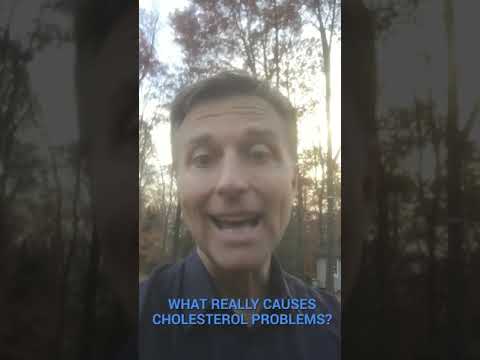 What Really Causes Cholesterol Problems? What Really Causes Cholesterol Problems?