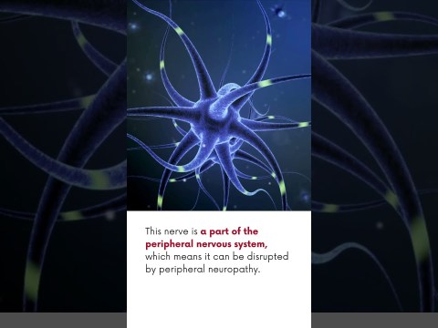 Peripheral Neuropathy and Sexual Dysfunction Peripheral Neuropathy and Sexual Dysfunction