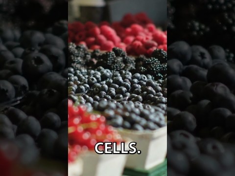 Top 10 Anti Cancer Foods (Part 1) – YOU NEED TO EAT THESE! Top 10 Anti Cancer Foods (Part 1) – YOU NEED TO EAT THESE!