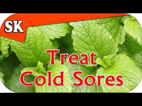 NATURAL COLD SORE REMEDY – Avoid Pharmaceuticals – Lemon Balm for Cold Sores NATURAL COLD SORE REMEDY – Avoid Pharmaceuticals – Lemon Balm for Cold Sores