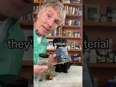 If your dog has a UTI you should try this inexpensive yet effective home remedy! If your dog has a UTI you should try this inexpensive yet effective home remedy!