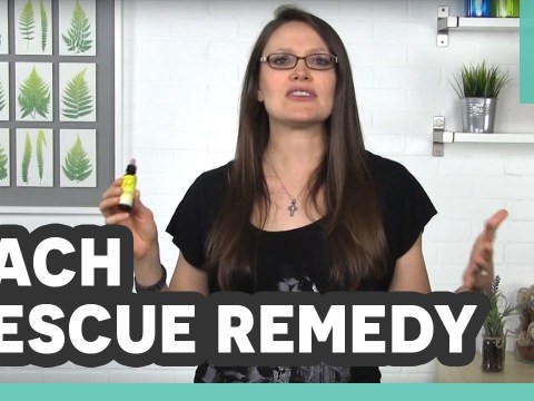 Bach Rescue Remedy Review with Kim at LuckyVitamin : Lucky Picks Bach Rescue Remedy Review with Kim at LuckyVitamin : Lucky Picks