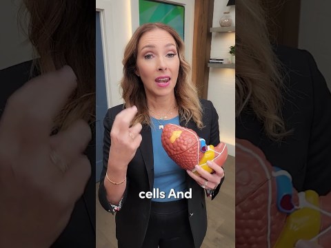 The Best Foods to Cleanse & Repair Your Liver #shorts The Best Foods to Cleanse & Repair Your Liver #shorts