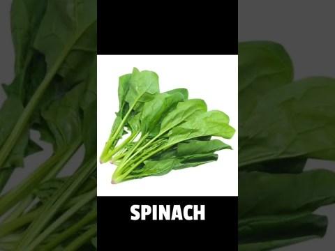 BEST FOODS FOR ENLARGE ERECT PENIS BEST FOODS FOR ENLARGE ERECT PENIS