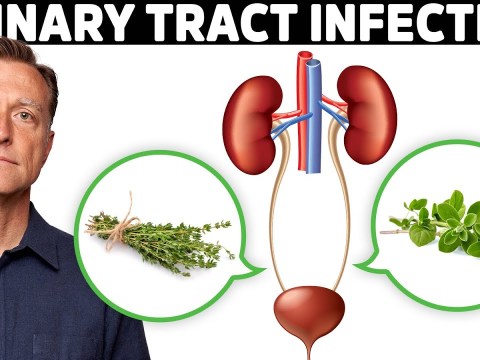 #1 Best Remedy for a UTI (Urinary Tract Infection) #1 Best Remedy for a UTI (Urinary Tract Infection)