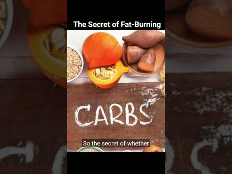 The Secret of Fat Burning The Secret of Fat Burning