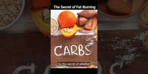 The Secret of Fat Burning The Secret of Fat Burning