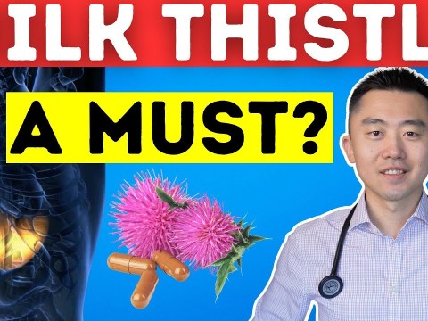 Should You Take MILK THISTLE for Your Liver Health? An Evidence-based Review Should You Take MILK THISTLE for Your Liver Health? An Evidence-based Review