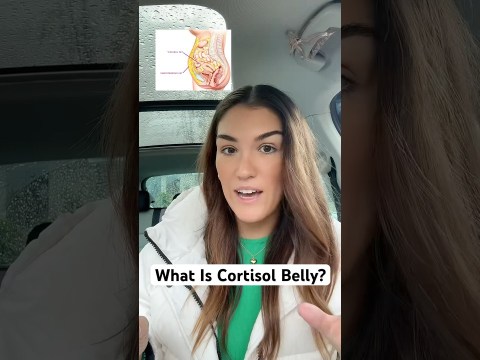 What Is Cortisol Belly? What Is Cortisol Belly?