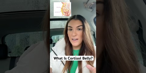 What Is Cortisol Belly? What Is Cortisol Belly?
