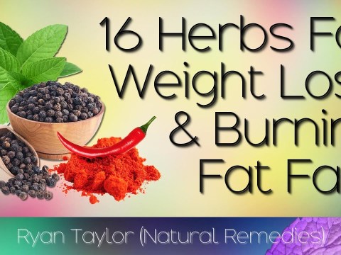 Best Herbs: for Weight Loss (Fast) Best Herbs: for Weight Loss (Fast)