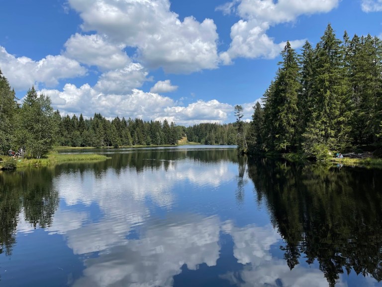Réserve naturelle de l'étang de la Gruère Réserve naturelle de l'étang de la Gruère