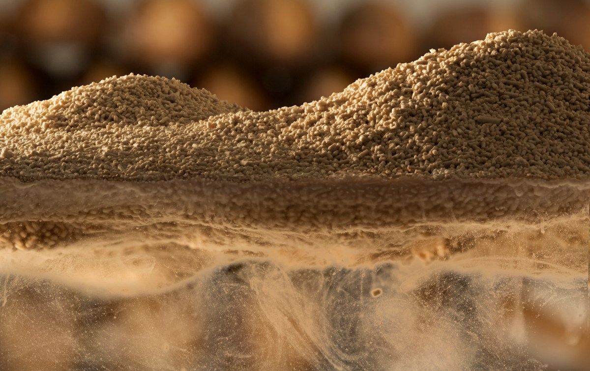 Something in the Air Something in the Air