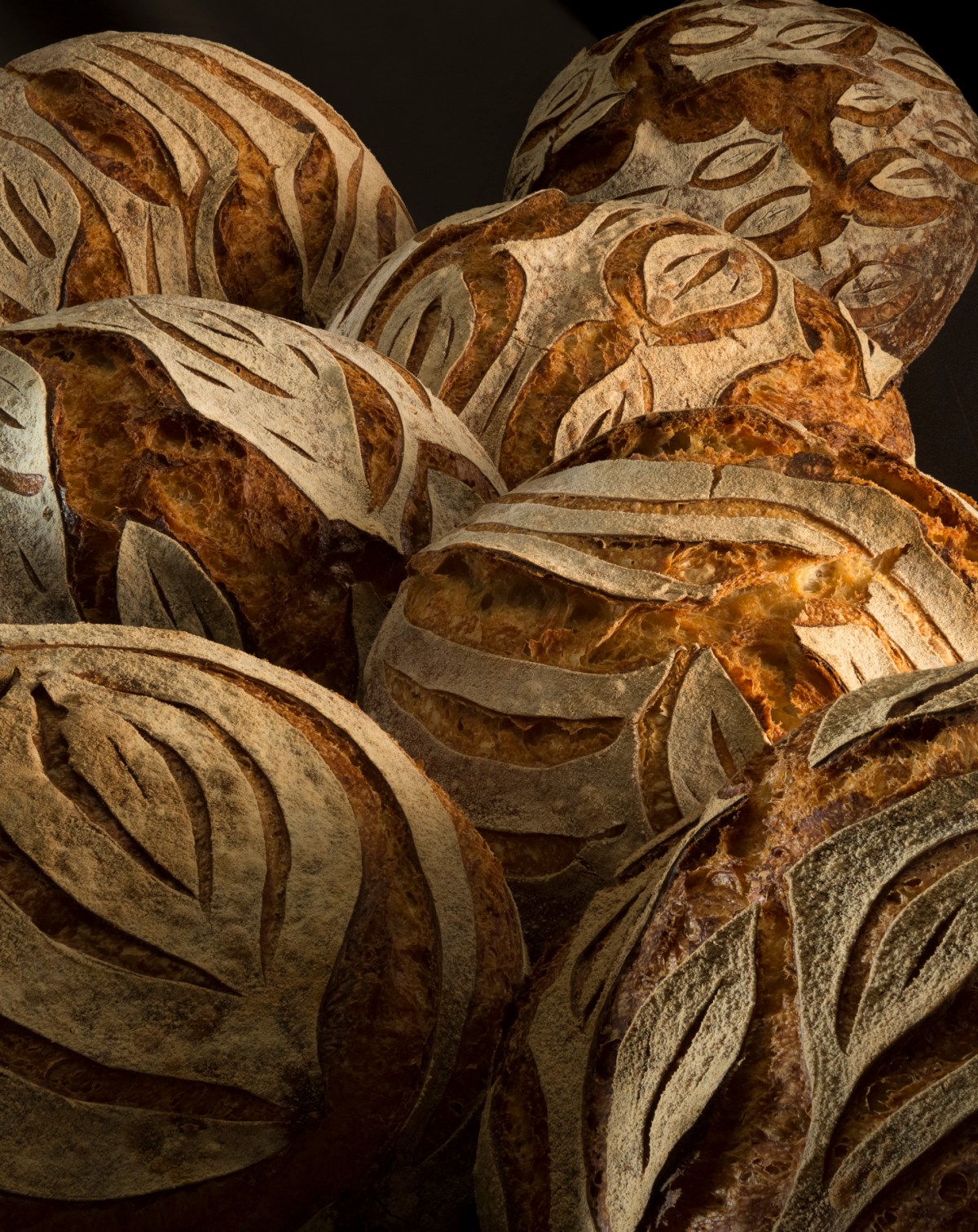 Breads Across America Breads Across America