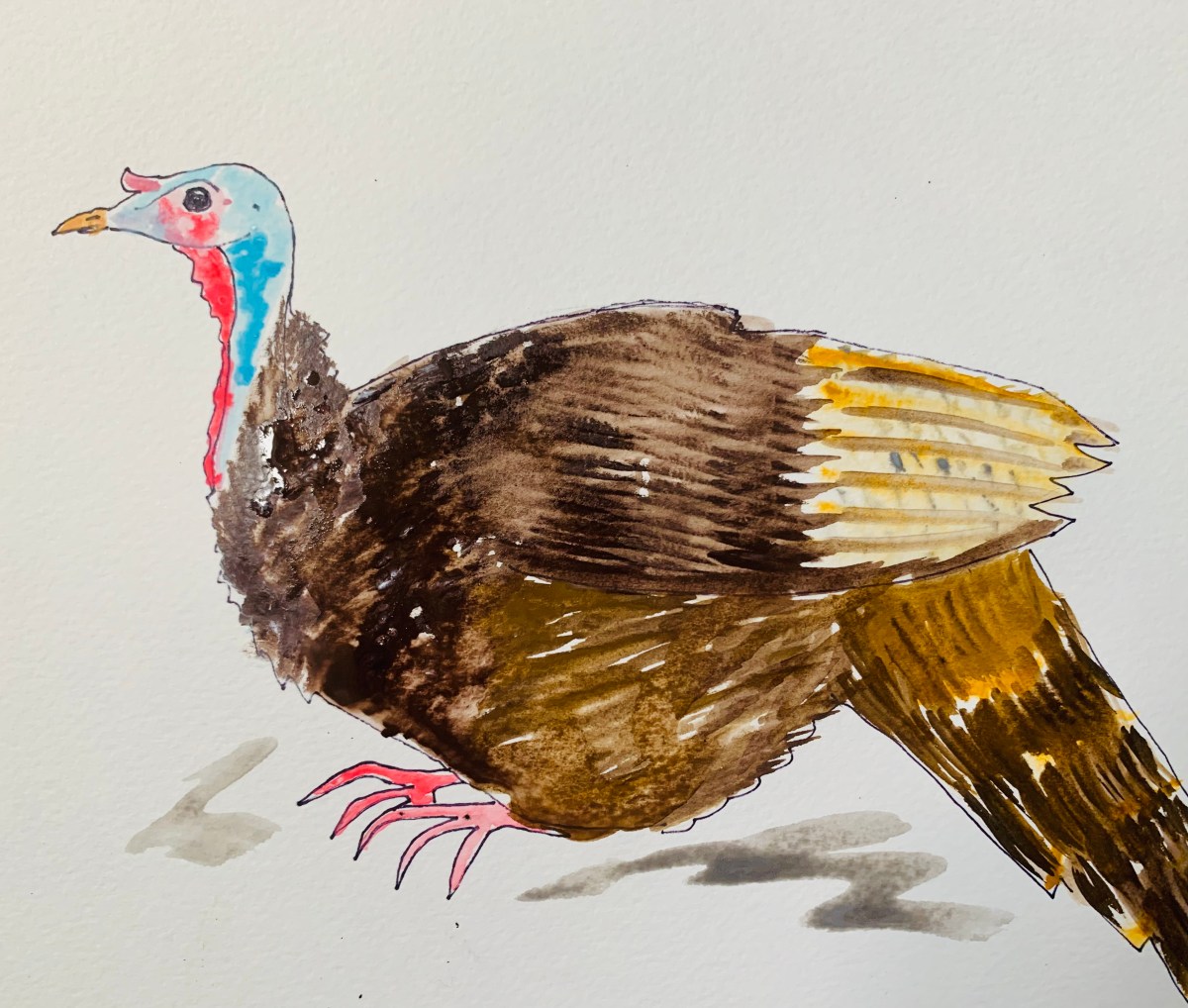 Turkeys! Turkeys!
