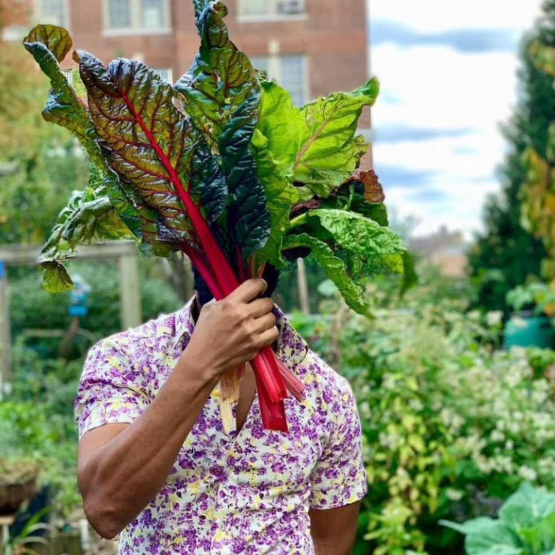 Henry Obispo on the Resilience of the South Bronx Henry Obispo on the Resilience of the South Bronx