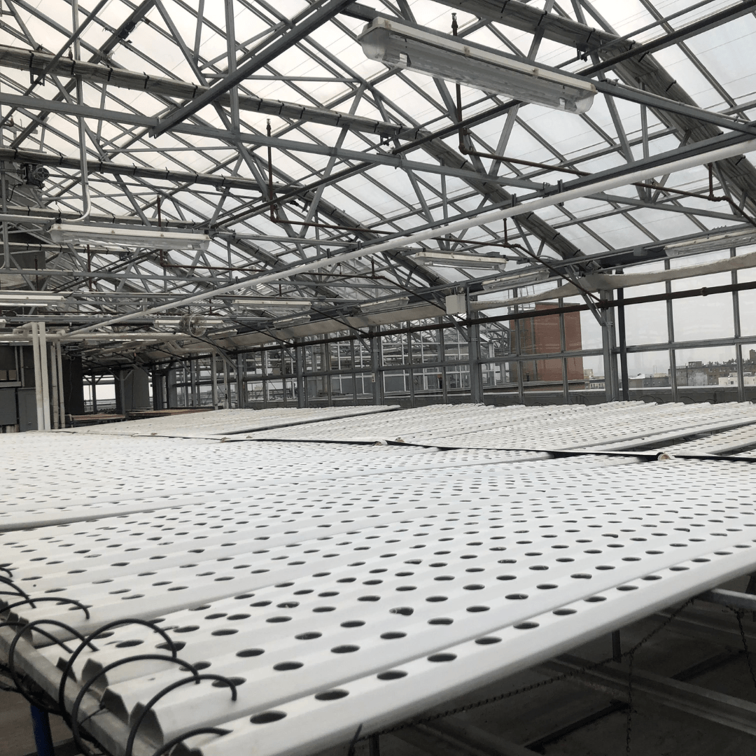 Catching Up with Wythe: The Recent Troubles in Vertical Farming Catching Up with Wythe: The Recent Troubles in Vertical Farming