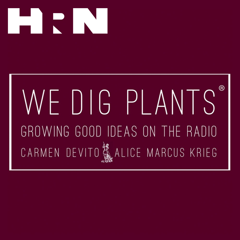 We Dig Plants We Dig Plants