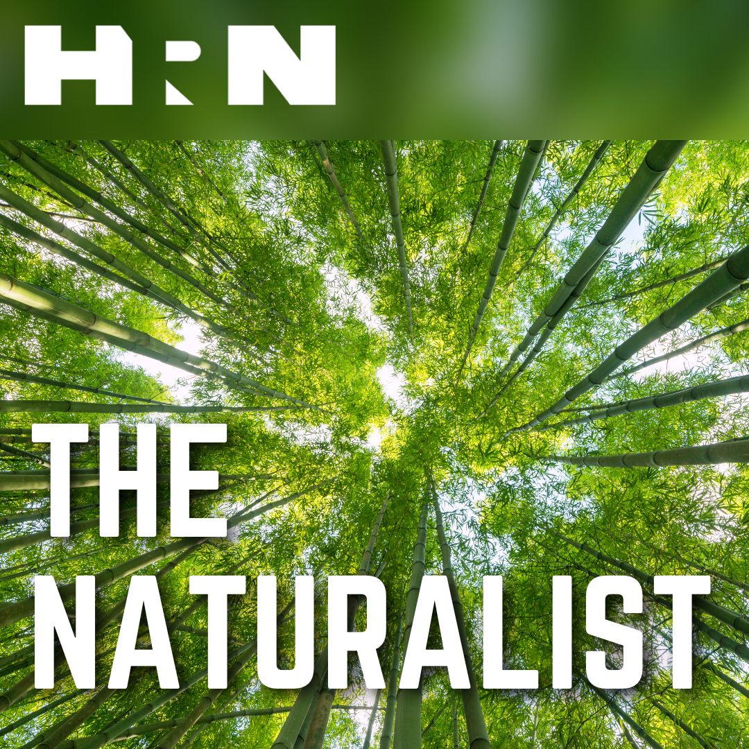 The Naturalist The Naturalist