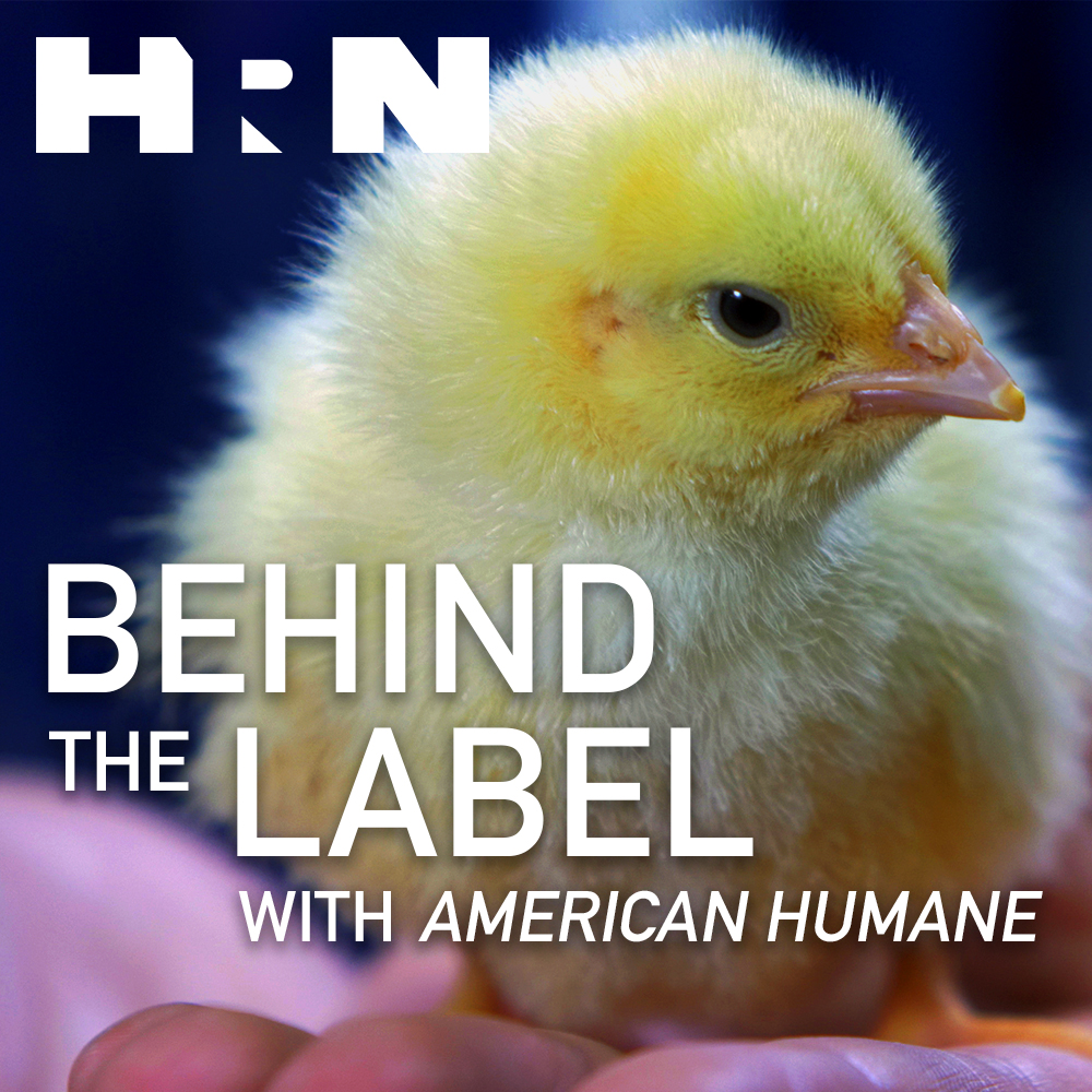 Behind the Label with American Humane Behind the Label with American Humane