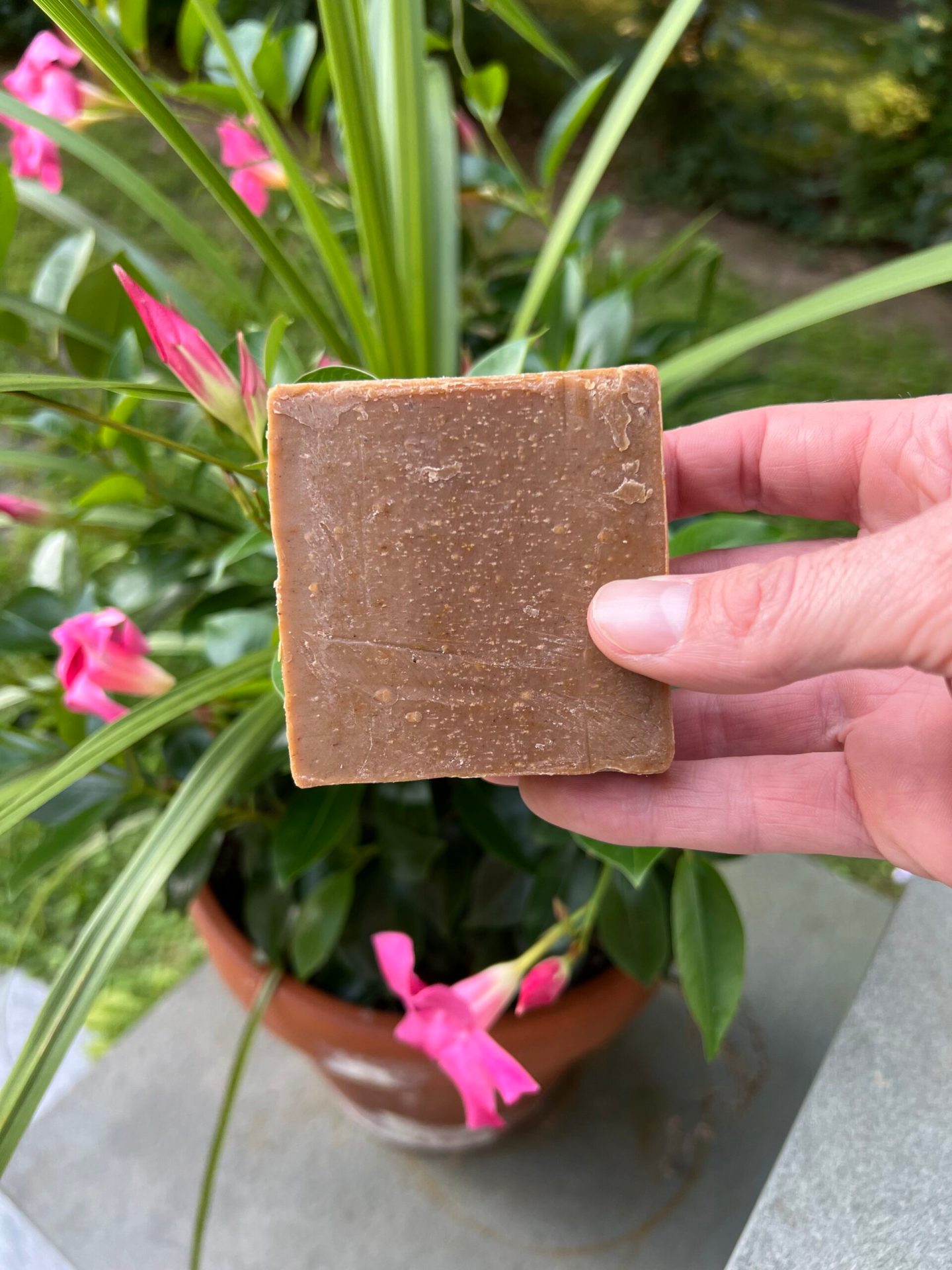 Best Bar Soap for Men: Top Picks for 2025 Best Bar Soap for Men: Top Picks for 2025