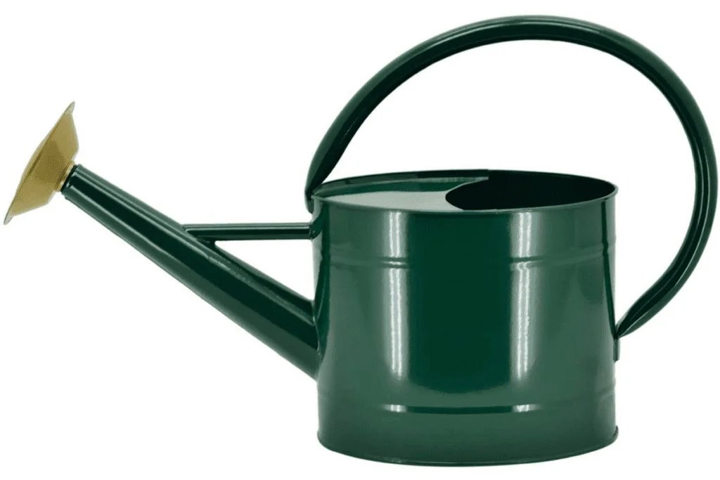 Best Indoor Watering Can: Top Picks for 2025 for Your Houseplants Best Indoor Watering Can: Top Picks for 2025 for Your Houseplants