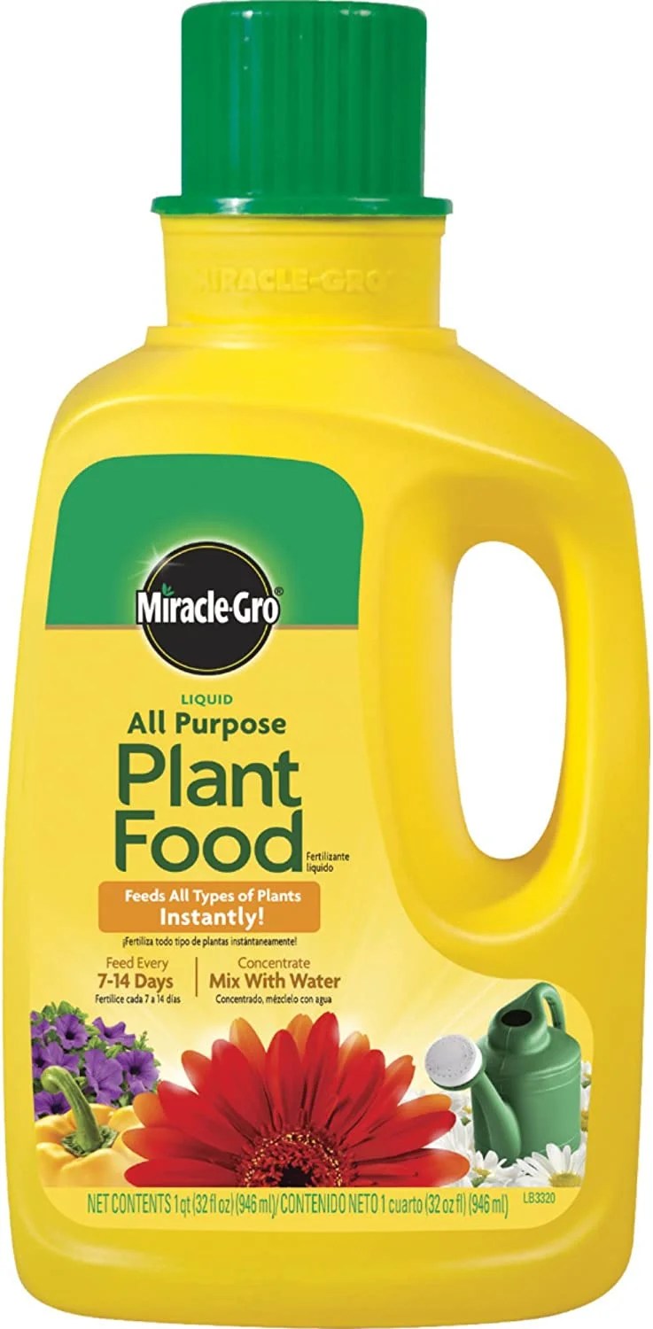 Best Liquid Plant Food: Top Picks for 2025 to Boost Your Garden Best Liquid Plant Food: Top Picks for 2025 to Boost Your Garden