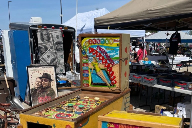 Best Pussy for Sale: Top Picks for 2025 You Can’t Miss! Best Pussy for Sale: Top Picks for 2025 You Can’t Miss!