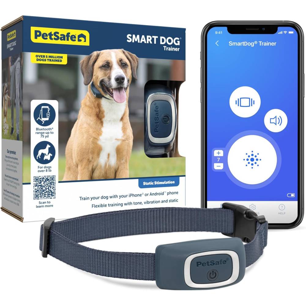 Best Training Collar for Dogs: Top Picks for 2025 Best Training Collar for Dogs: Top Picks for 2025