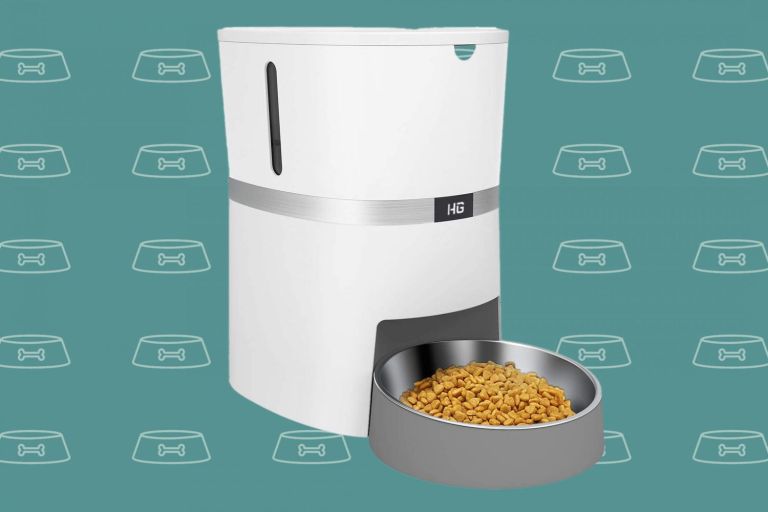 10 Best Automatic Dog Feeders of 2024: Top Picks for Your Pet’s Needs 10 Best Automatic Dog Feeders of 2024: Top Picks for Your Pet’s Needs
