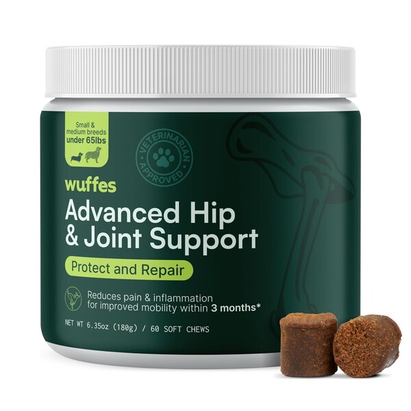 Best Hip and Joint Supplement for Dogs: Top Choices for 2025 Best Hip and Joint Supplement for Dogs: Top Choices for 2025