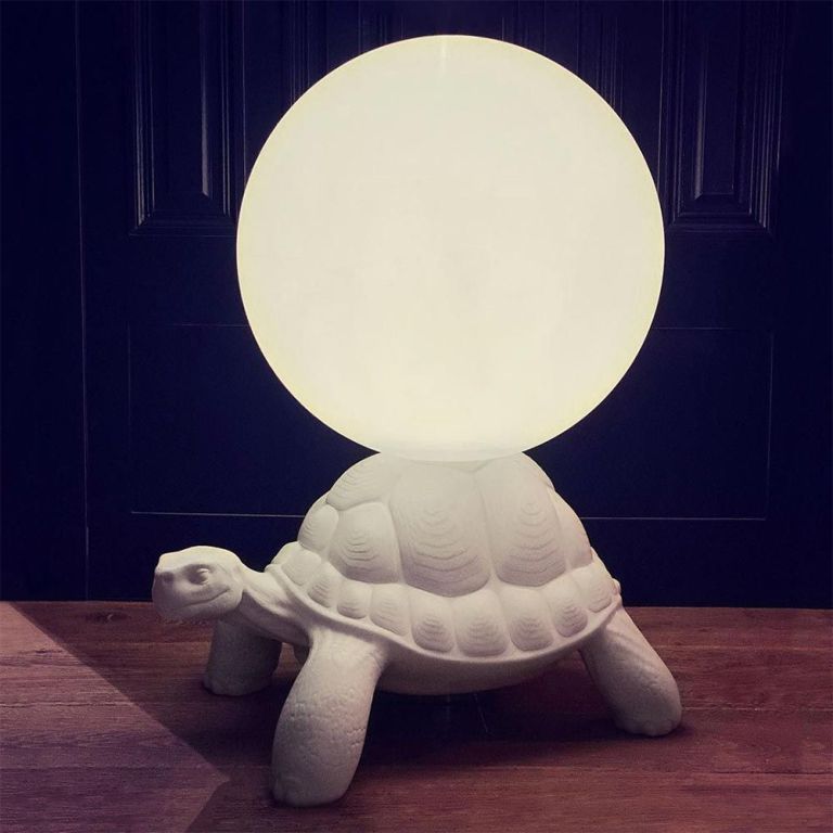 Best Turtle Lamp: The Top Choice for 2025’s Most Unique Lighting Best Turtle Lamp: The Top Choice for 2025’s Most Unique Lighting
