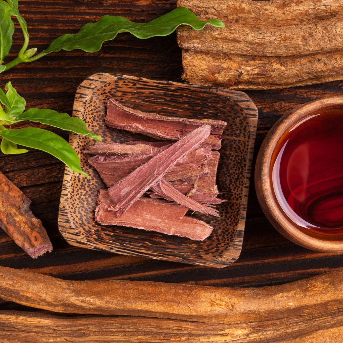 Best Mimosa Hostilis Root Bark: Top Products for 2025 Best Mimosa Hostilis Root Bark: Top Products for 2025