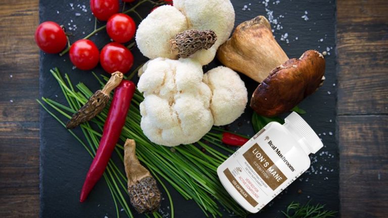Best Lion’s Mane Supplement: Top Picks for 2025 You Can’t Miss! Best Lion’s Mane Supplement: Top Picks for 2025 You Can’t Miss!